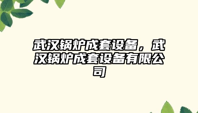 武漢鍋爐成套設(shè)備，武漢鍋爐成套設(shè)備有限公司