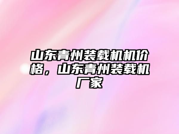 山東青州裝載機機價格，山東青州裝載機廠家