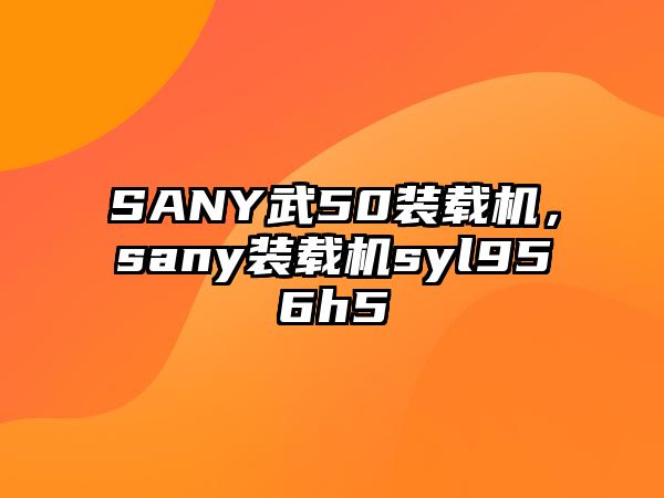 SANY武50裝載機(jī)，sany裝載機(jī)syl956h5