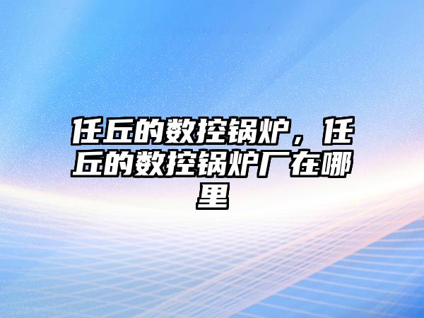 任丘的數(shù)控鍋爐，任丘的數(shù)控鍋爐廠在哪里