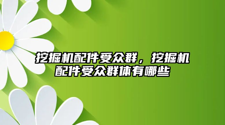 挖掘機配件受眾群，挖掘機配件受眾群體有哪些