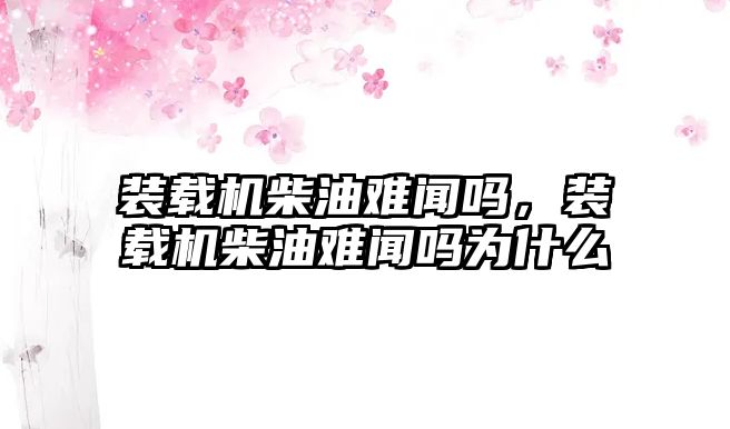 裝載機柴油難聞嗎，裝載機柴油難聞嗎為什么