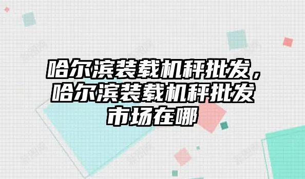 哈爾濱裝載機秤批發(fā)，哈爾濱裝載機秤批發(fā)市場在哪