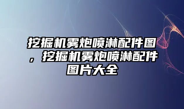 挖掘機霧炮噴淋配件圖，挖掘機霧炮噴淋配件圖片大全