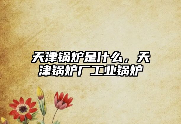 天津鍋爐是什么，天津鍋爐廠工業(yè)鍋爐