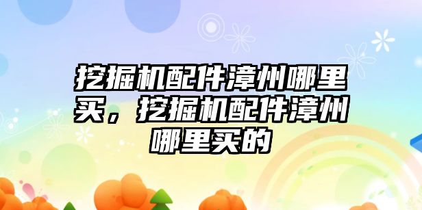 挖掘機配件漳州哪里買，挖掘機配件漳州哪里買的