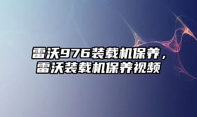 雷沃976裝載機保養(yǎng)，雷沃裝載機保養(yǎng)視頻