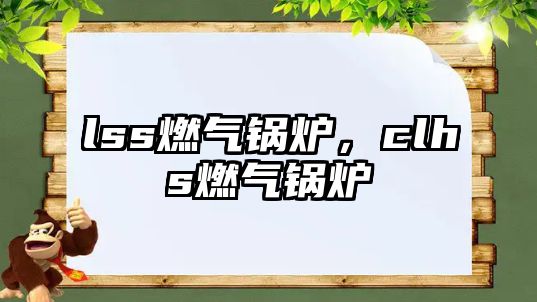 lss燃?xì)忮仩t，clhs燃?xì)忮仩t