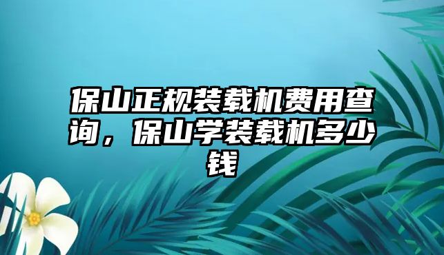 保山正規(guī)裝載機費用查詢，保山學(xué)裝載機多少錢