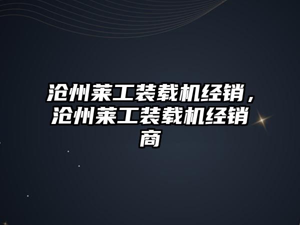 滄州萊工裝載機經(jīng)銷，滄州萊工裝載機經(jīng)銷商