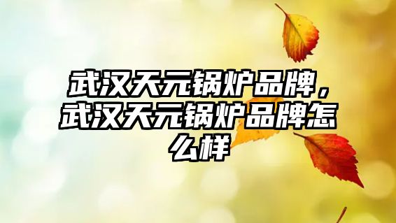 武漢天元鍋爐品牌，武漢天元鍋爐品牌怎么樣