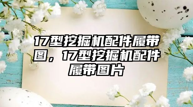 17型挖掘機(jī)配件履帶圖，17型挖掘機(jī)配件履帶圖片