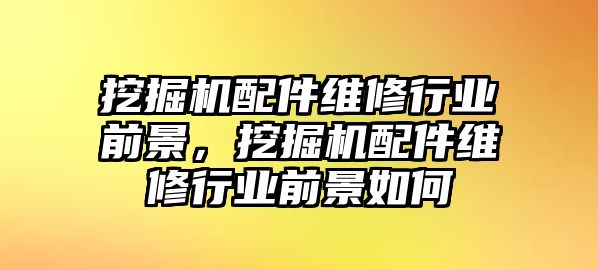 挖掘機(jī)配件維修行業(yè)前景，挖掘機(jī)配件維修行業(yè)前景如何