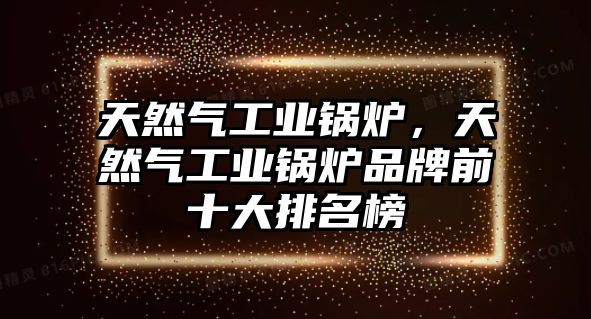 天然氣工業(yè)鍋爐，天然氣工業(yè)鍋爐品牌前十大排名榜