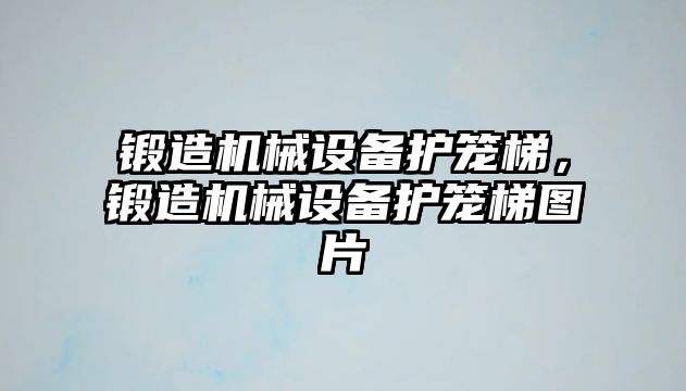 鍛造機械設(shè)備護籠梯，鍛造機械設(shè)備護籠梯圖片