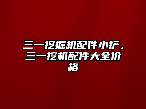 三一挖掘機(jī)配件小鏟，三一挖機(jī)配件大全價(jià)格