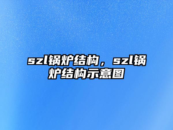 szl鍋爐結構，szl鍋爐結構示意圖