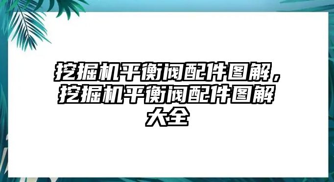 挖掘機(jī)平衡閥配件圖解，挖掘機(jī)平衡閥配件圖解大全