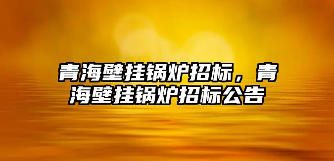 青海壁掛鍋爐招標，青海壁掛鍋爐招標公告