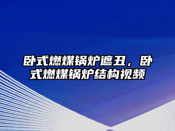 臥式燃煤鍋爐遮丑，臥式燃煤鍋爐結(jié)構(gòu)視頻