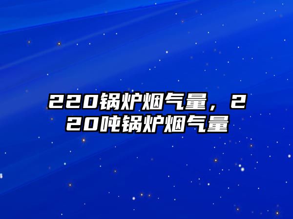 220鍋爐煙氣量，220噸鍋爐煙氣量