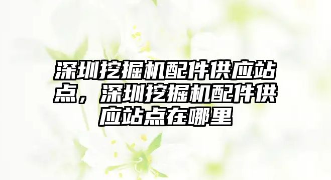 深圳挖掘機配件供應站點，深圳挖掘機配件供應站點在哪里