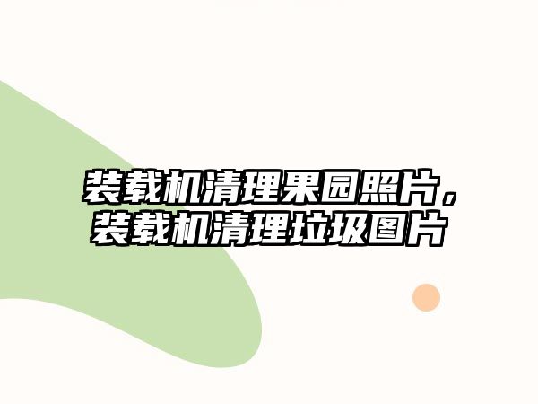 裝載機清理果園照片，裝載機清理垃圾圖片