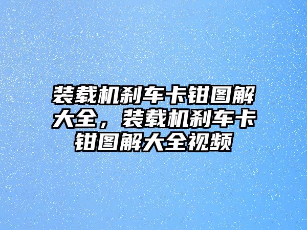 裝載機(jī)剎車卡鉗圖解大全，裝載機(jī)剎車卡鉗圖解大全視頻