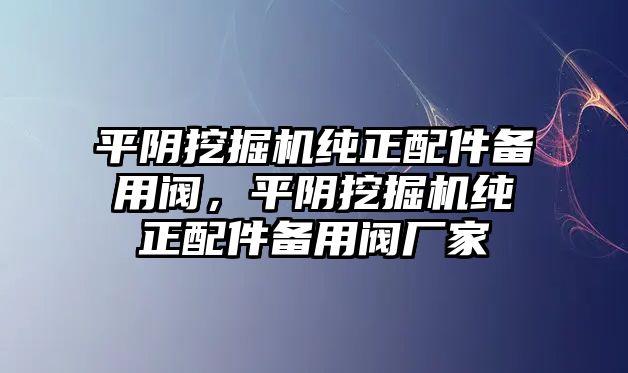 平陰挖掘機(jī)純正配件備用閥，平陰挖掘機(jī)純正配件備用閥廠家