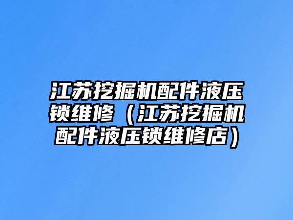 江蘇挖掘機(jī)配件液壓鎖維修（江蘇挖掘機(jī)配件液壓鎖維修店）