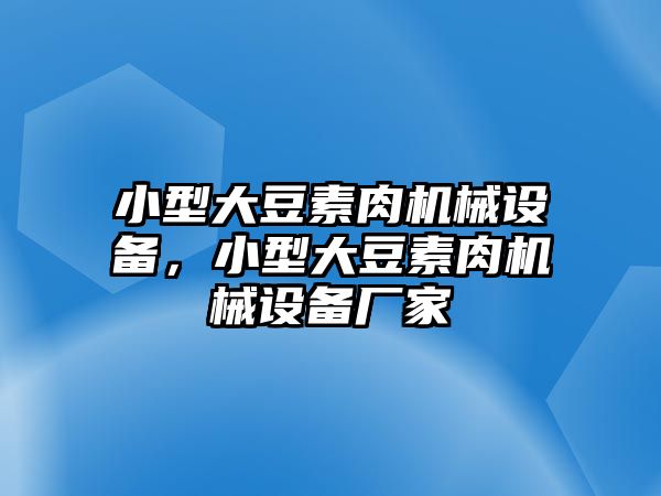 小型大豆素肉機(jī)械設(shè)備，小型大豆素肉機(jī)械設(shè)備廠家