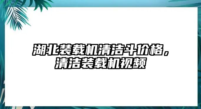 湖北裝載機(jī)清潔斗價格，清潔裝載機(jī)視頻