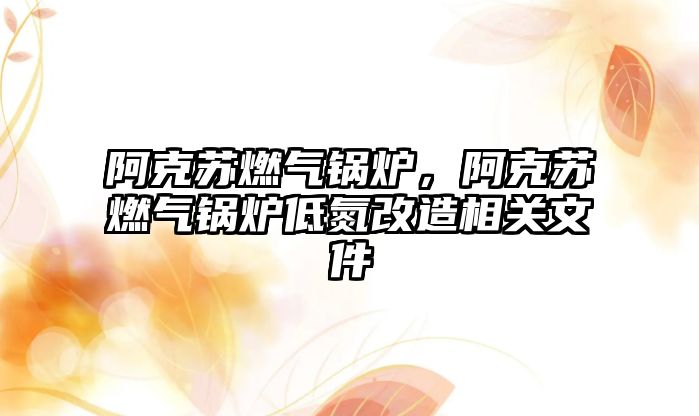 阿克蘇燃?xì)忮仩t，阿克蘇燃?xì)忮仩t低氮改造相關(guān)文件