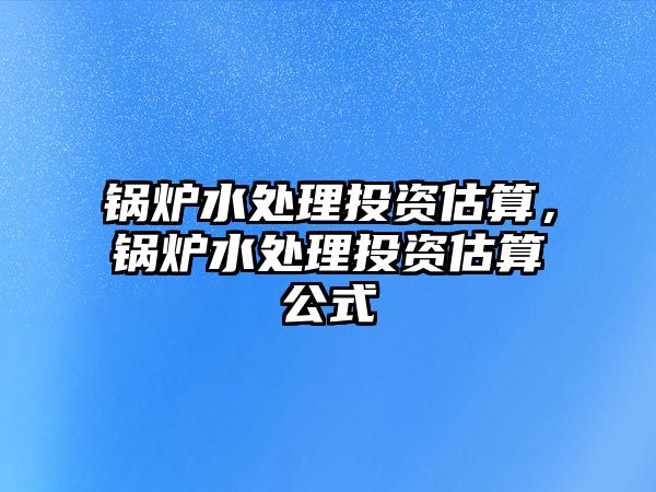 鍋爐水處理投資估算，鍋爐水處理投資估算公式