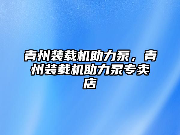 青州裝載機助力泵，青州裝載機助力泵專賣店