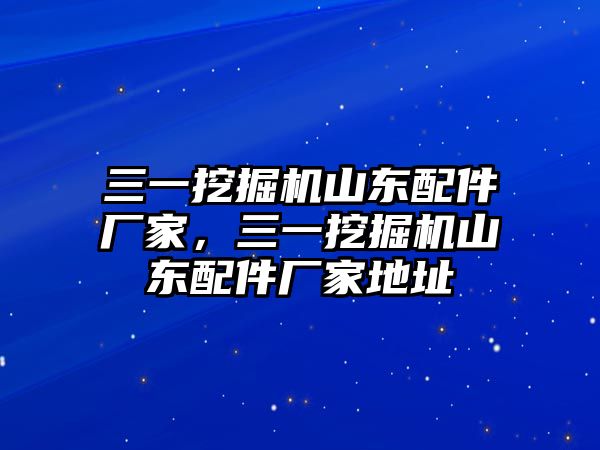 三一挖掘機(jī)山東配件廠家，三一挖掘機(jī)山東配件廠家地址