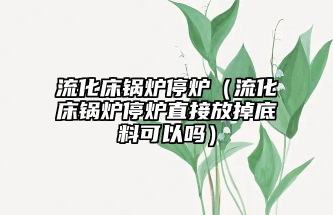 流化床鍋爐停爐（流化床鍋爐停爐直接放掉底料可以嗎）