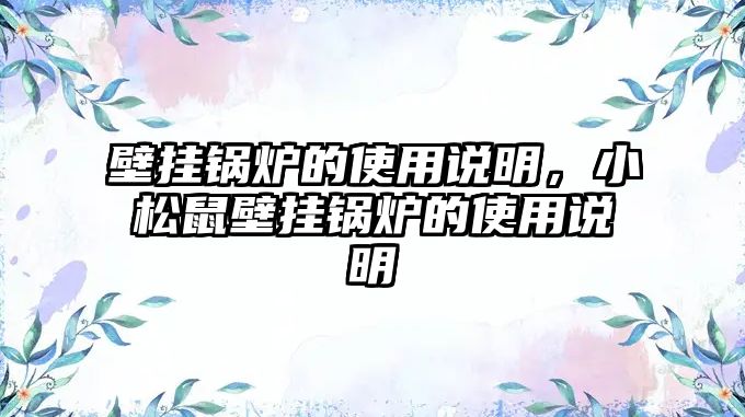 壁掛鍋爐的使用說明，小松鼠壁掛鍋爐的使用說明