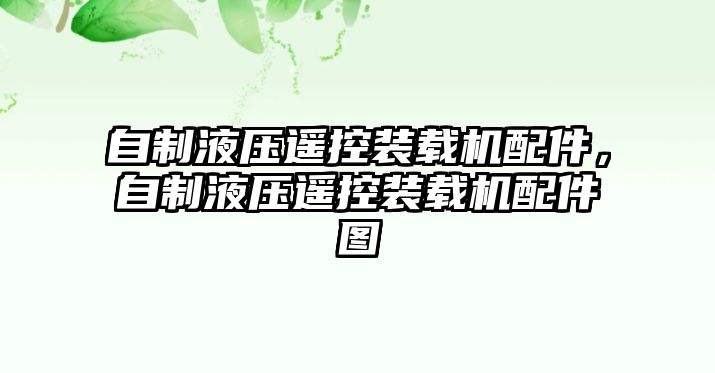 自制液壓遙控裝載機(jī)配件，自制液壓遙控裝載機(jī)配件圖