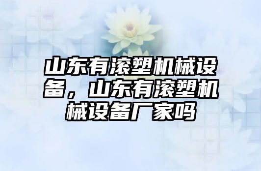 山東有滾塑機(jī)械設(shè)備，山東有滾塑機(jī)械設(shè)備廠家嗎