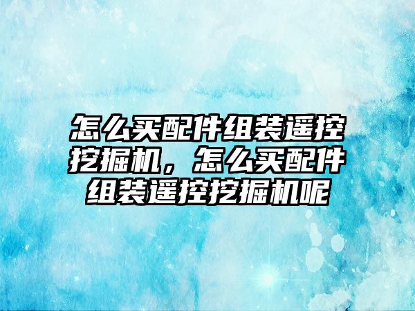 怎么買配件組裝遙控挖掘機，怎么買配件組裝遙控挖掘機呢