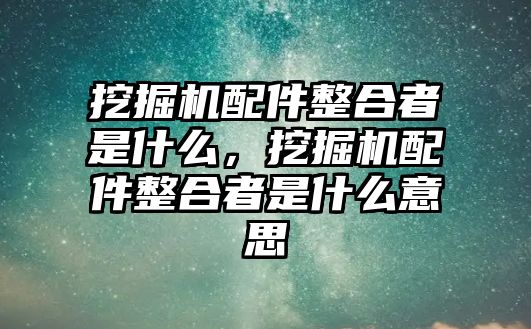 挖掘機(jī)配件整合者是什么，挖掘機(jī)配件整合者是什么意思