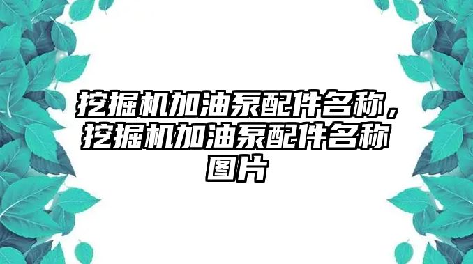 挖掘機(jī)加油泵配件名稱，挖掘機(jī)加油泵配件名稱圖片