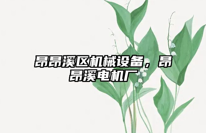 昂昂溪區(qū)機械設(shè)備，昂昂溪電機廠