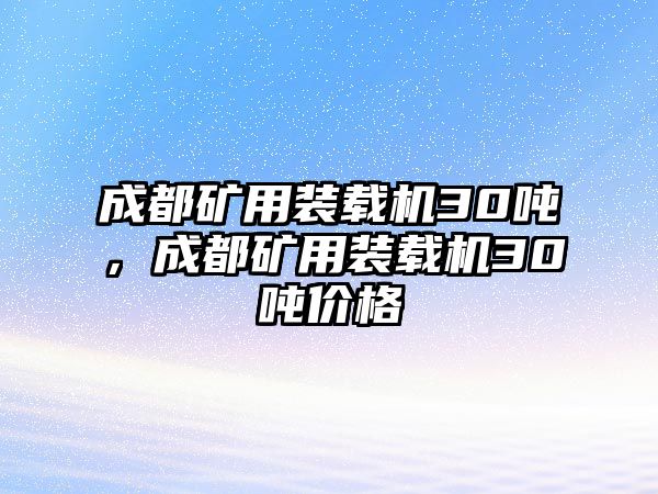 成都礦用裝載機(jī)30噸，成都礦用裝載機(jī)30噸價(jià)格