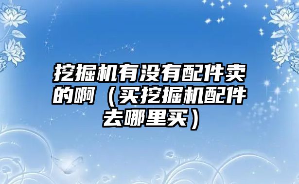 挖掘機(jī)有沒有配件賣的?。ㄙI挖掘機(jī)配件去哪里買）