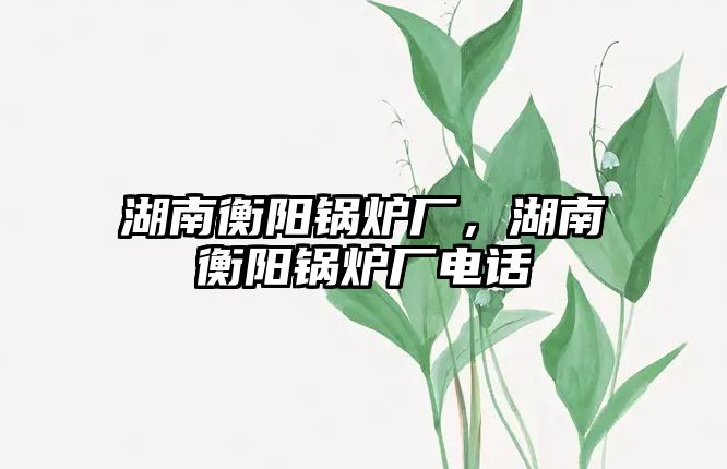 湖南衡陽鍋爐廠，湖南衡陽鍋爐廠電話