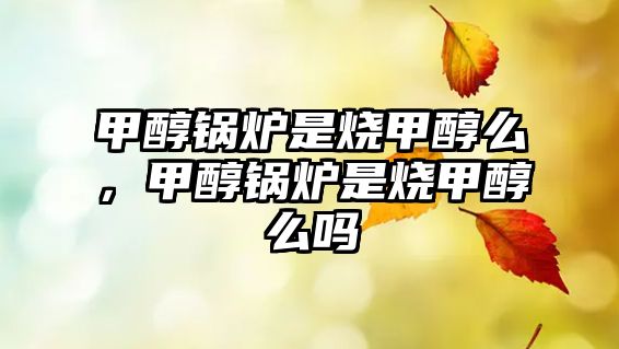 甲醇鍋爐是燒甲醇么，甲醇鍋爐是燒甲醇么嗎