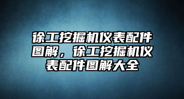 徐工挖掘機(jī)儀表配件圖解，徐工挖掘機(jī)儀表配件圖解大全