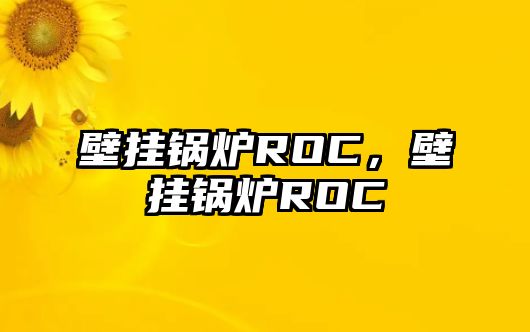 壁掛鍋爐ROC，壁掛鍋爐ROC